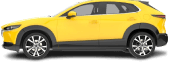 Car Graphic